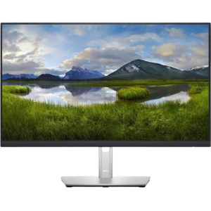 Dell P2422H monitor